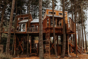 Treehouse on the Water -Eagles Nest-20 ft high